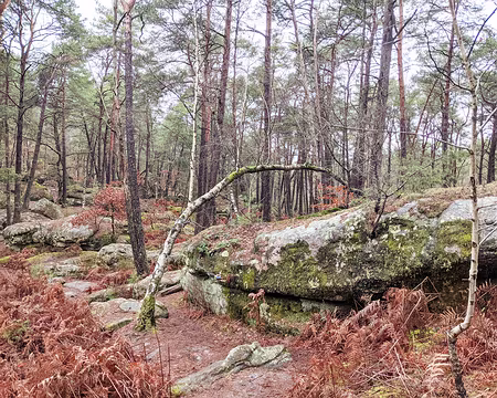 20210131-11h44m20s-PXL_20210131_104419987-V3