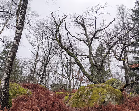 20210131-11h55m27s-PXL_20210131_105527000-V3