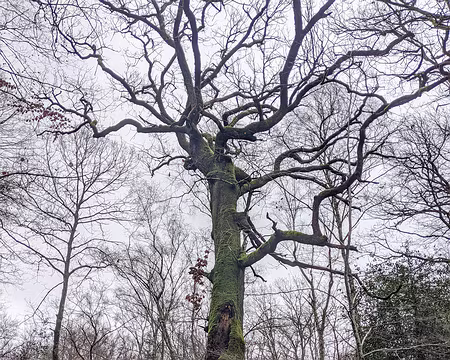 20210131-12h02m08s-PXL_20210131_110208588-V3