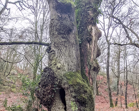 20210131-12h04m30s-PXL_20210131_110430764-V3