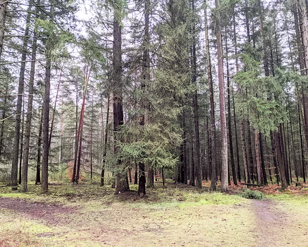 20210131-12h08m52s-PXL_20210131_110852432-V3