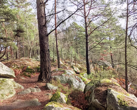 20210131-13h43m20s-PXL_20210131_124320061-V3