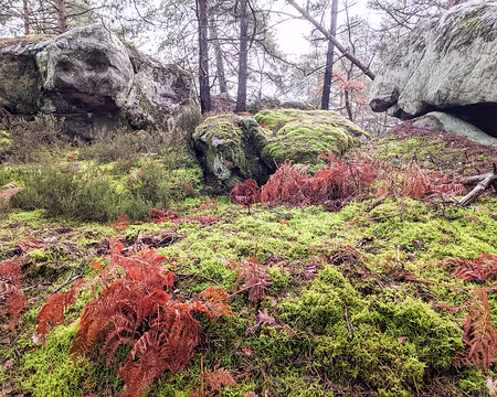 20210131-13h46m58s-PXL_20210131_124658201-V3