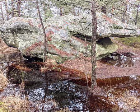 20210131-13h47m51s-PXL_20210131_124751207-V3