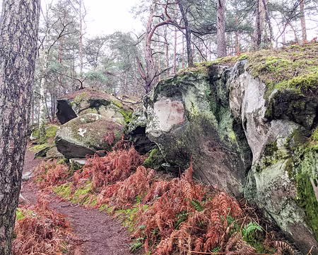 20210131-13h49m59s-PXL_20210131_124959648-V3