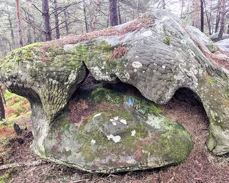 20210131-13h51m07s-PXL_20210131_125107280-V3