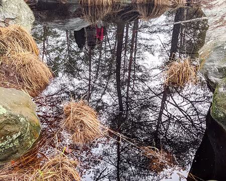 20210131-13h51m52s-PXL_20210131_125152710-V3