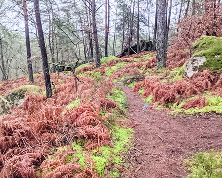 20210131-14h05m42s-PXL_20210131_130542029-V3