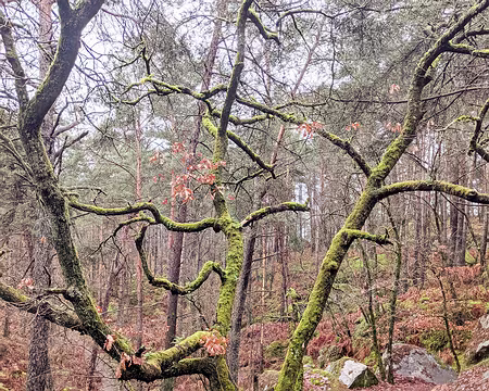 20210131-14h07m26s-PXL_20210131_130726679-V3