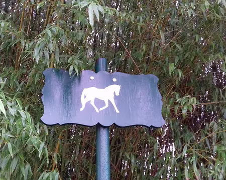 019 Cheval à Vincennes