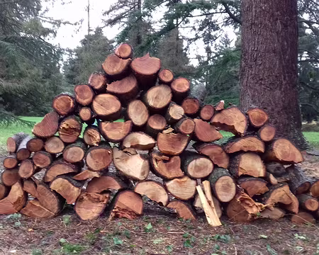 022 Triangle de bois