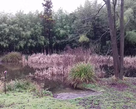 025 Zones humides …