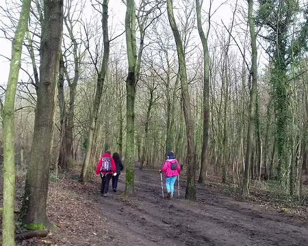 030 Dans le Bois de Vincennes