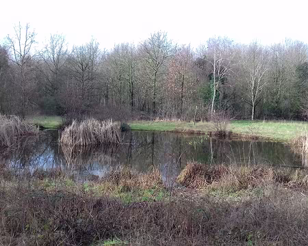 032 Où sont les oiseaux ?