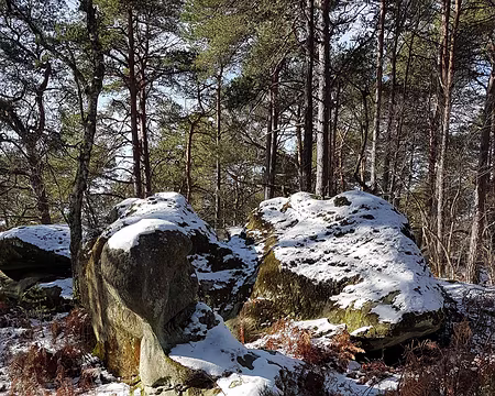 003 Photo Bernard D.