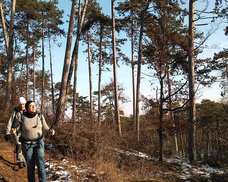 011 Que ça fait du bien ce soleil!