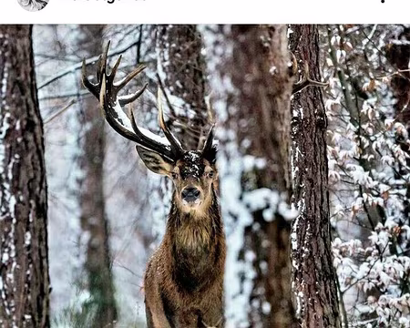 013 Une photo très récente de Valdet Galica sur instagram.
