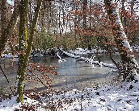 022 Mare aux Ligueurs. Photo Bernard D.