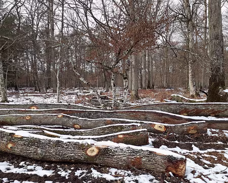 027 photo Marie-Claude B.