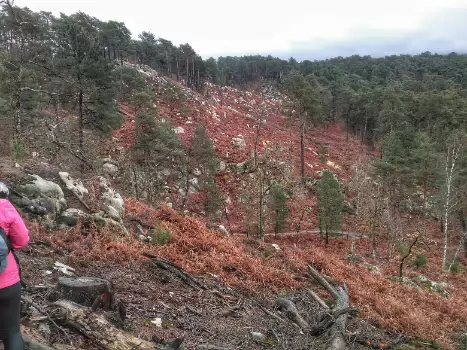2021-02 Fontainebleau sud
