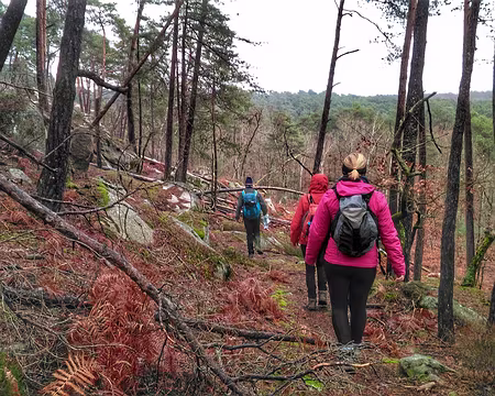 003 Rocher des Étroitures