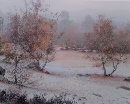 014 Expo photo à la gare de Fontainebleau. Fabrice Milochau, 