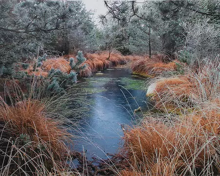 015 Photo de Fabrice Milochau. "La savane engourdie". Merci à Luc pour cette belle randonnée.