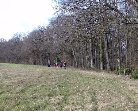 022 En lisière de forêt