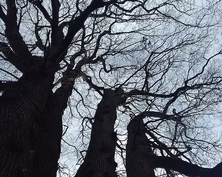 026 Classé Monument naturel, il a une hauteur de 33 mètres