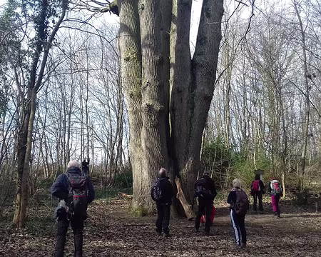 027 Et une circonférence de 6,70 mètres