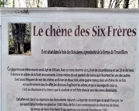 028 Histoire et légende autour de ce chêne exceptionnel