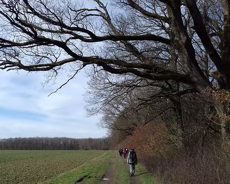 031 En lisière de forêt