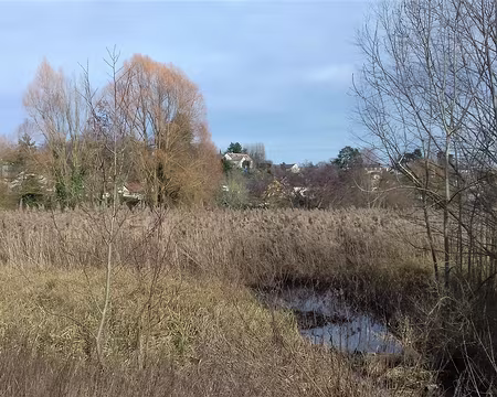 037 Marécages près de l’Orge