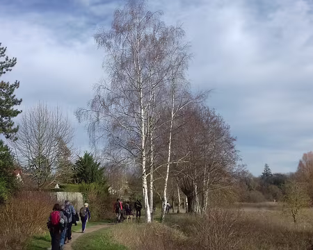 039 Le Chemin des Lavoirs à Dourdan entre Orge et marais