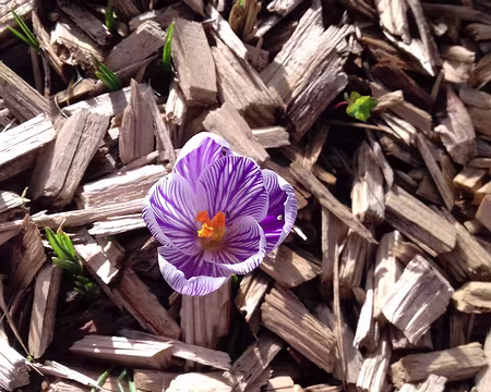 044 Merci à Marylise et à Dominique pour cette belle randonnée très printanière en Hurepoix