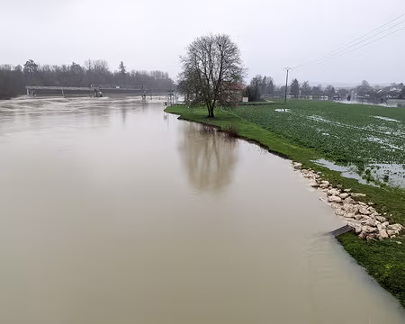 20210207-10h21m52s-PXL_20210207_092152475-V3