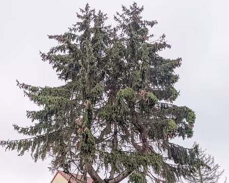 20210207-11h30m17s-PXL_20210207_103017902-V3