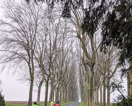 20210207-12h24m24s-PXL_20210207_112424814-V3