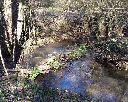 008 Le Ru des Cygnes, long de 9 km, est un affluent de la Marne