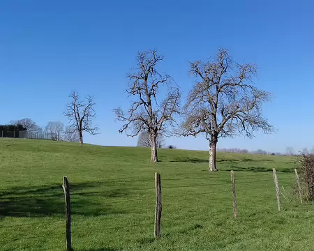 016 Paysage briard