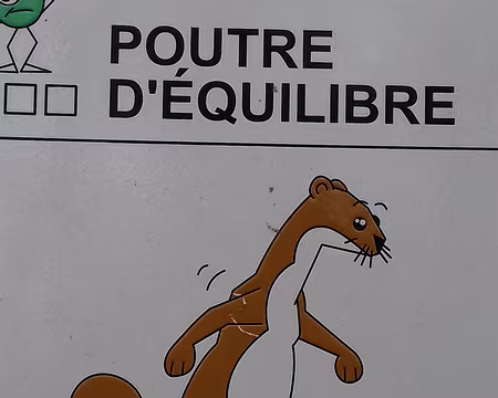 009 Parcours sportif dans la forêt