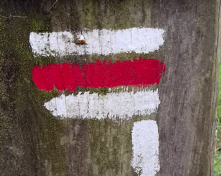 012 Le GR 11 (Grand tour de l’Île de France) près des Molières