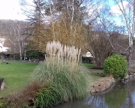 037 Merci à Patrick pour cette belle randonnée en Haute Vallée de Chevreuse
