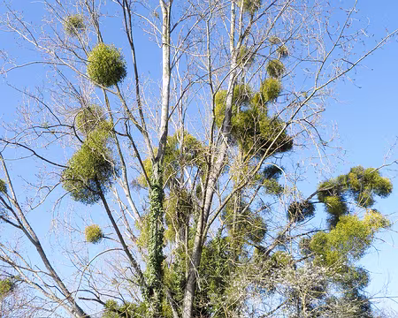 20210228-12h13m36s-P2280023-V3