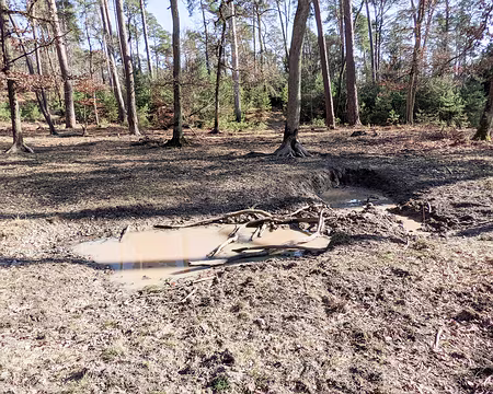 20210228-14h43m09s-PXL_20210228_134308515-V3