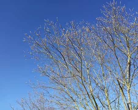 001 Tempête de bleu