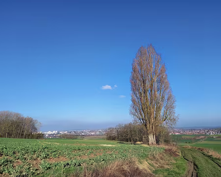 006 De part et d'autre du peuplier d'Italie, Meaux et Trilport.