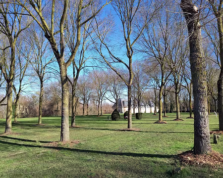 012a Allée d'ormes à Montceaux