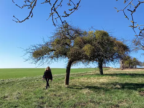 Hélène Hélène B, détail sortie