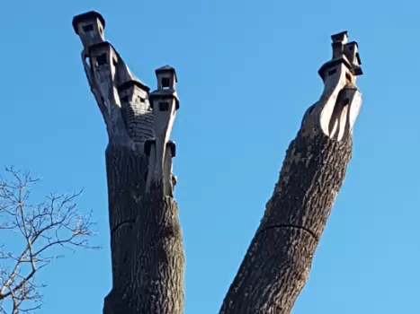 2021-02 Vincennes zen